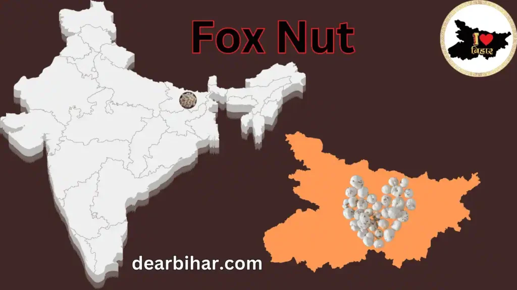 what are fox nuts