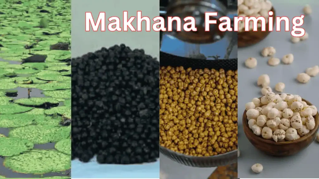 makhana made from